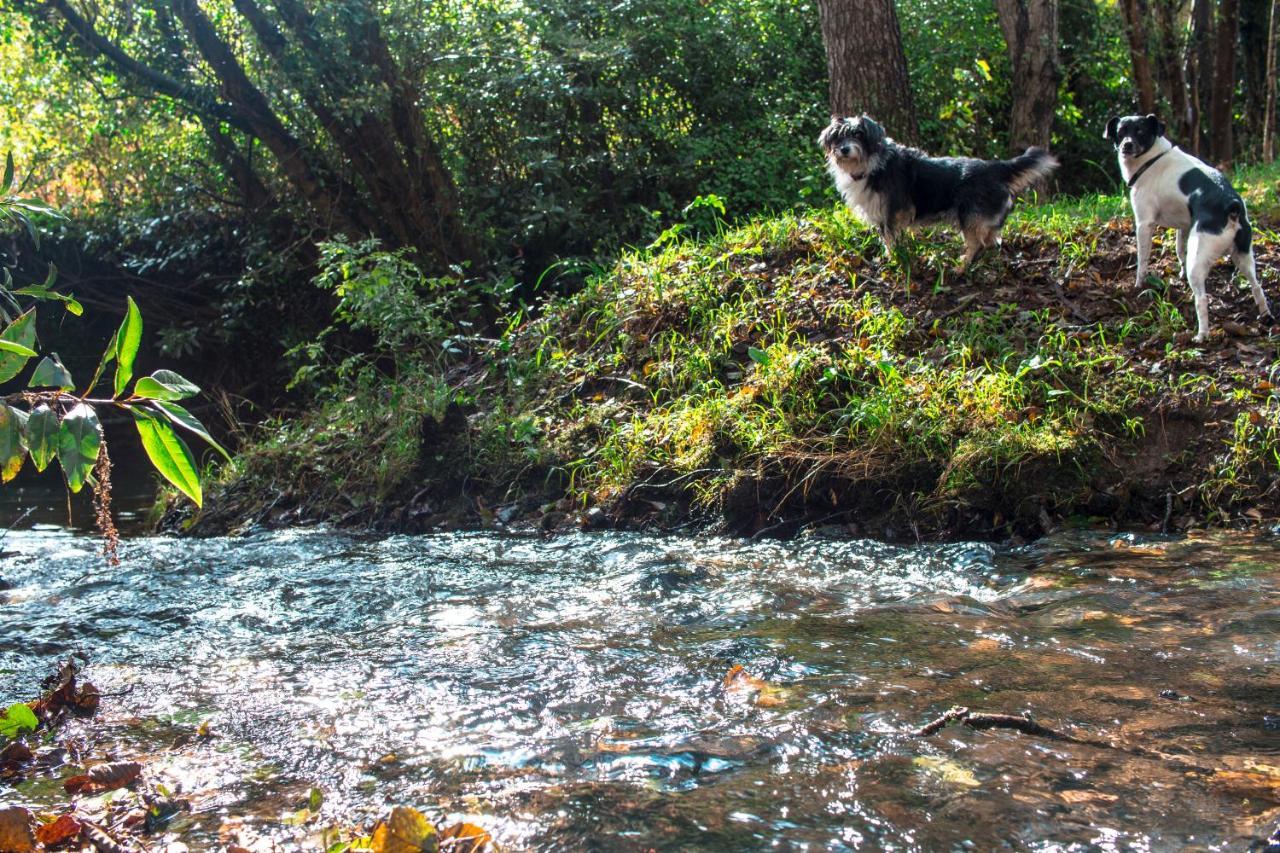 Agroturismo Araize Mungia Bagian luar foto