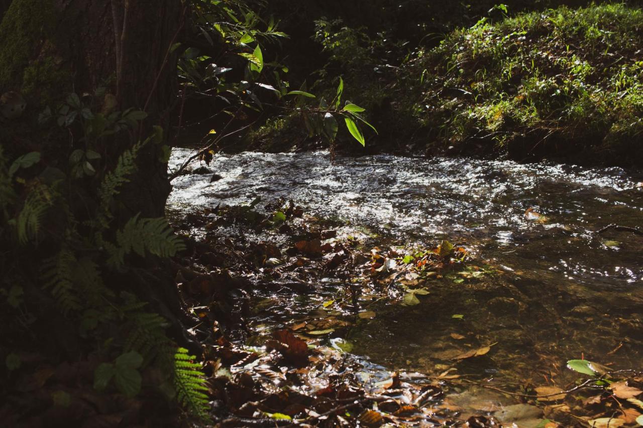 Agroturismo Araize Mungia Bagian luar foto